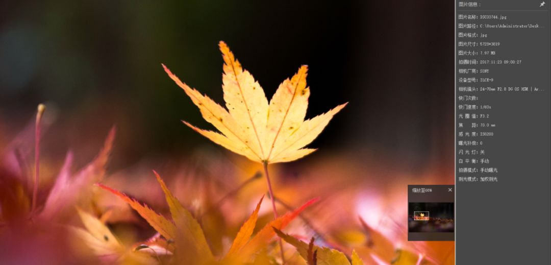 狗哥的热评,狗哥热评