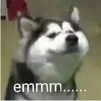 涓瓙鐭劯鍙堝ぇ,涓瓙寰堢煯鑴稿嵈寰堝ぇ