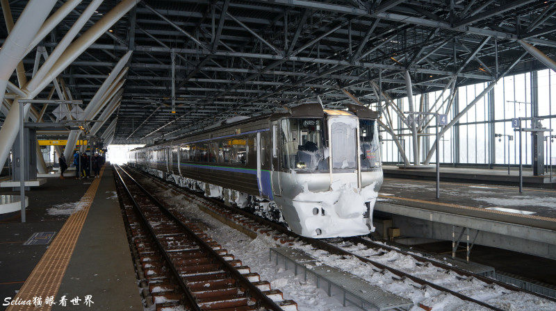 北海道的情书全文,北海道的雪日本的情书