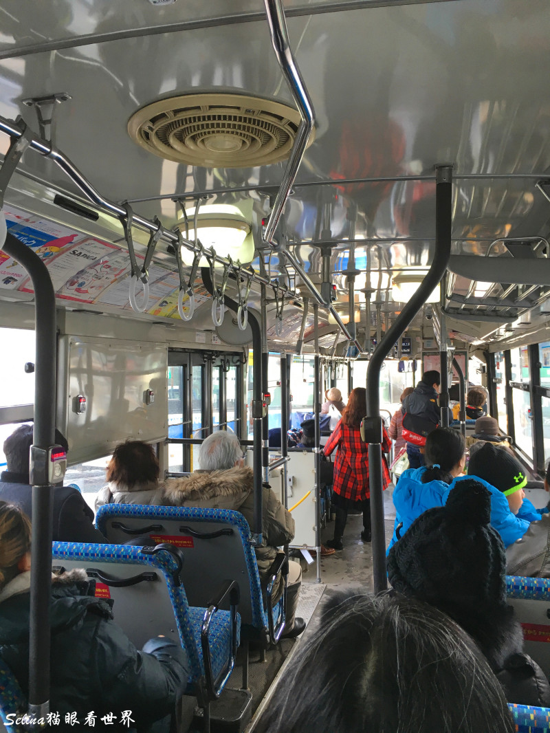 北海道的情书全文,北海道的雪日本的情书