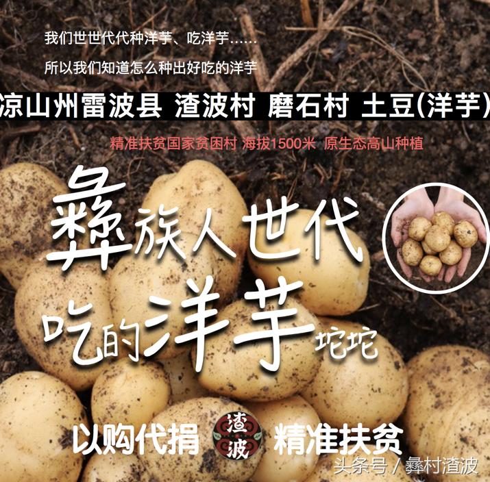 贫穷落后的小山村怎么脱贫致富,贫困村如何带领村民致富