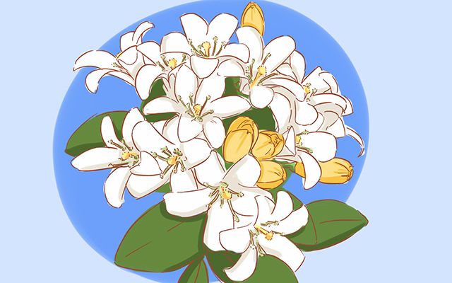 家里人怀孕送什么礼物合适,送怀孕老婆实用的20个礼物