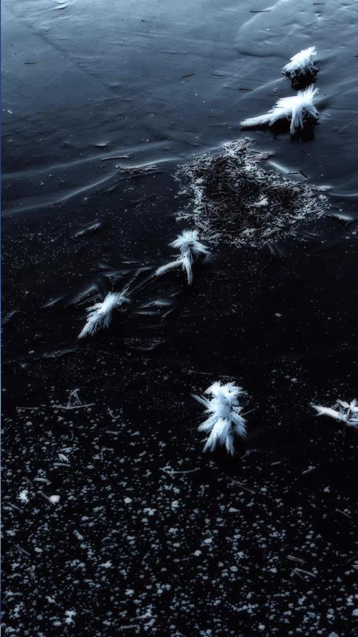 iphonex绝美风景壁纸草原,浪漫雪景冬日治愈系壁纸