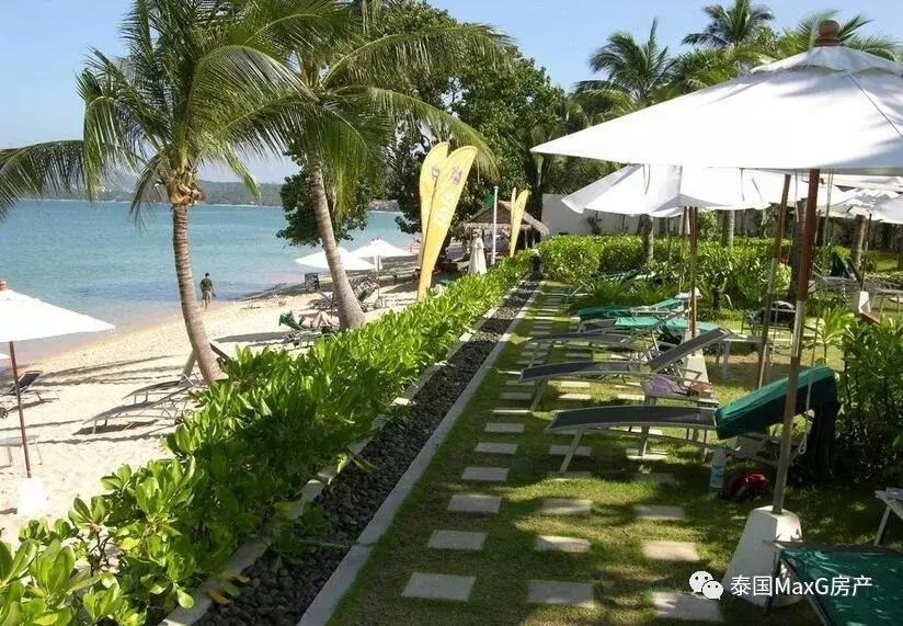 2018如何逐浪苏梅岛？给你最全指南