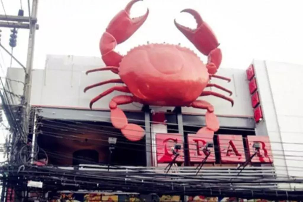 2018如何逐浪苏梅岛？给你最全指南