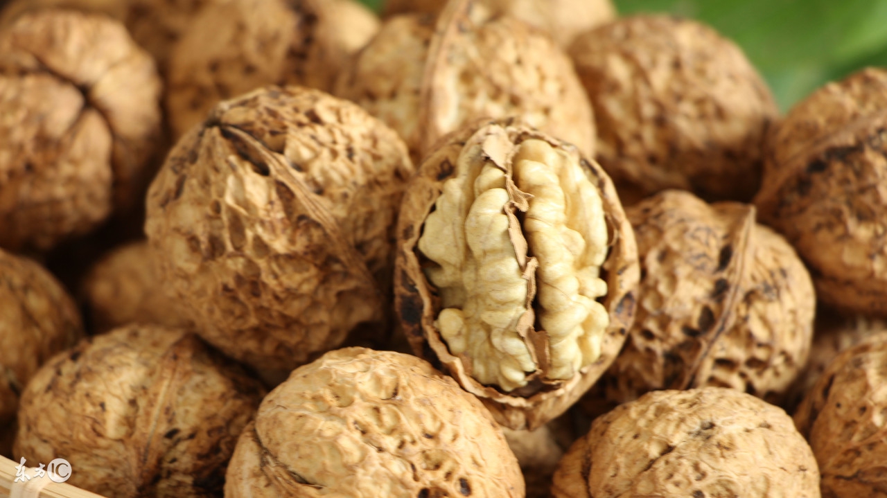 早期的孕妇吃什么最好,怀孕初期吃哪些食品对胎儿比较好