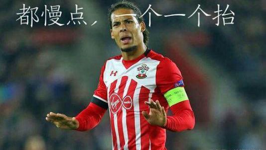 范迪克成长之路,范迪克追特拉奥雷