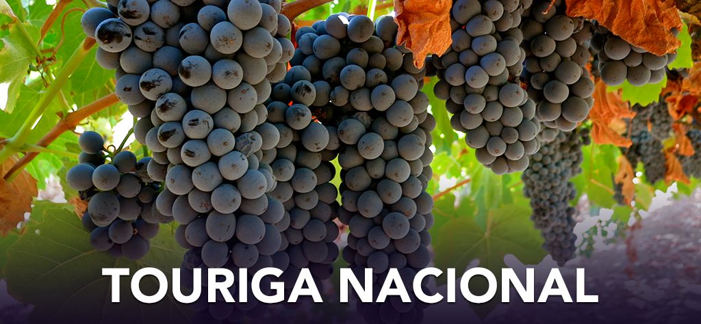 葡萄酿酒品种大全,什么葡萄品种酿酒好喝