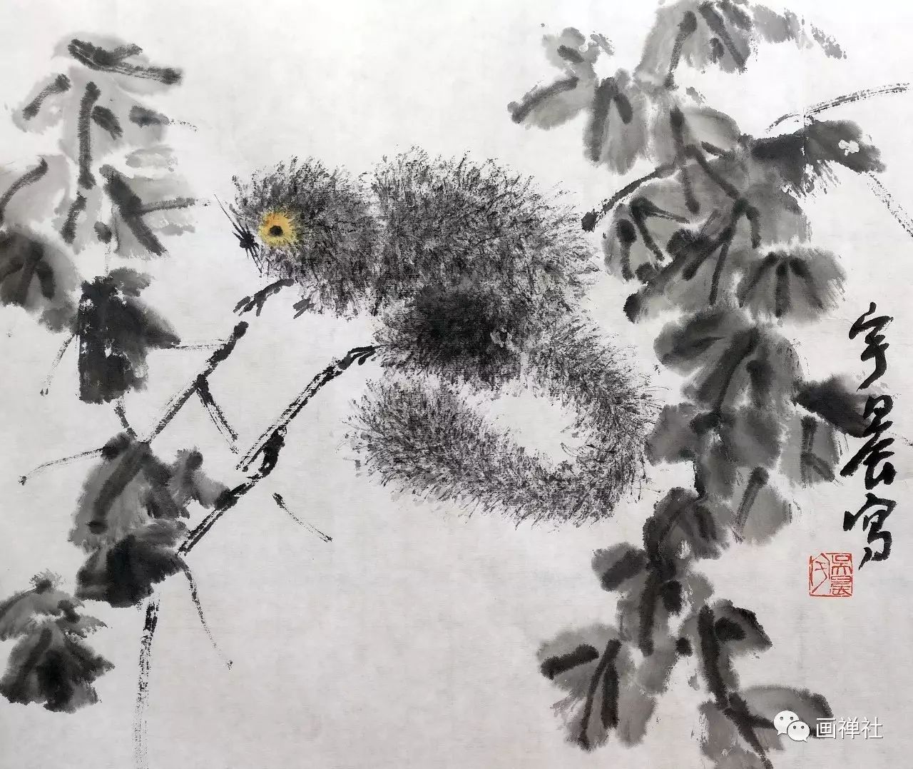 宇晨的来历,宇晨的日常