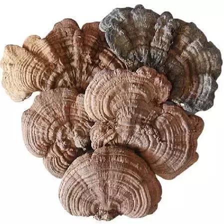 吉林特产享誉全国,吉林各地特产有哪些