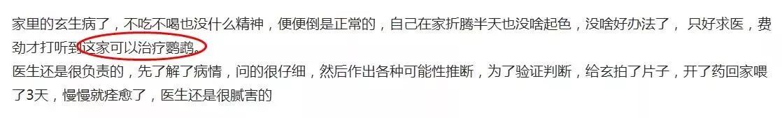 铲屎官宠物诊所,铲屎官宠物医院优惠