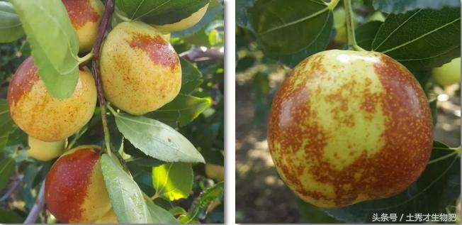 山东品牌故事,品牌故事完整版视频