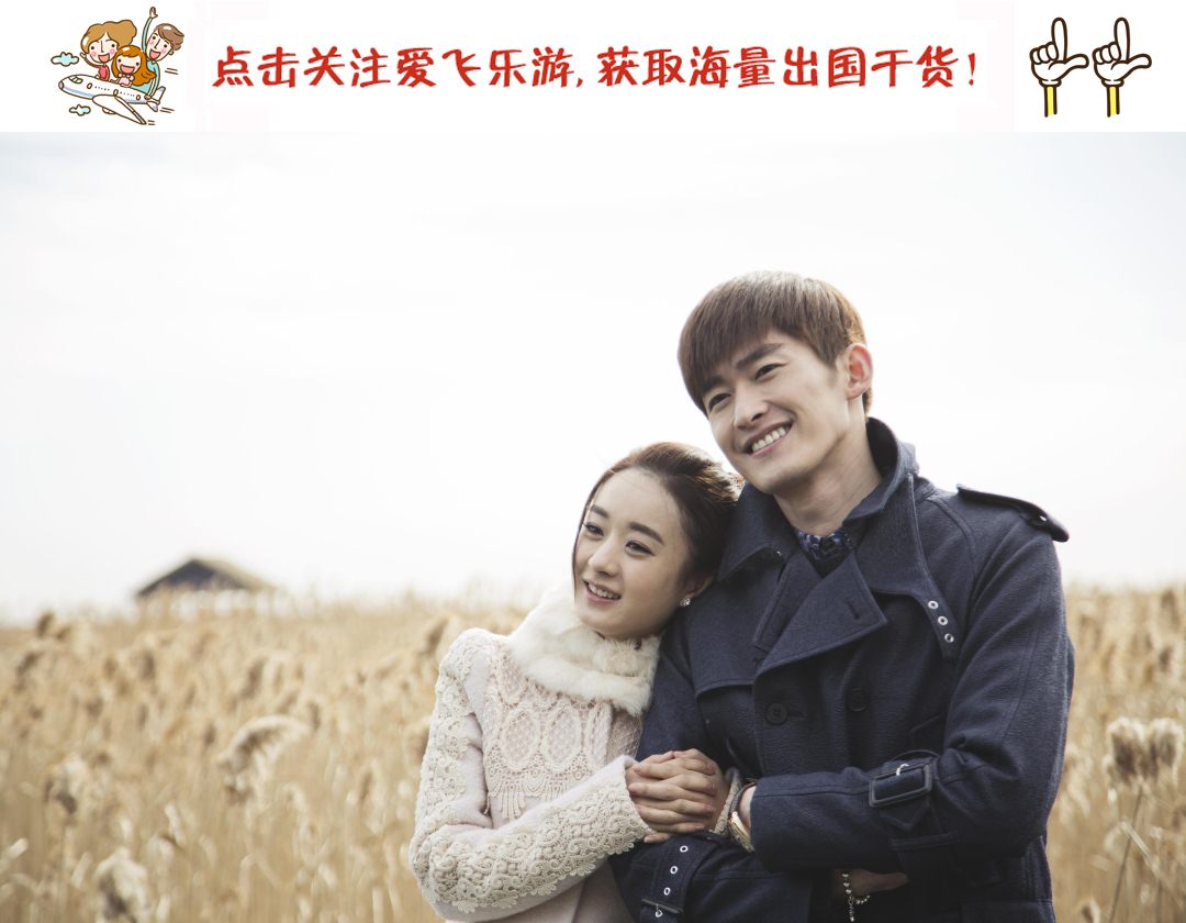 张翰出国旅行视频,张翰海关安检