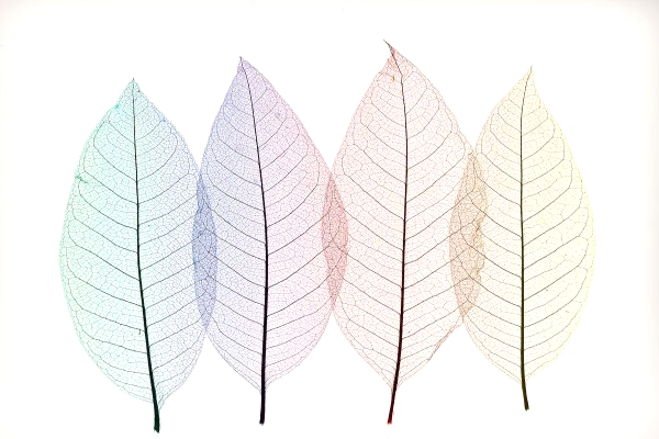 德家：精细化运营，了解你的用户