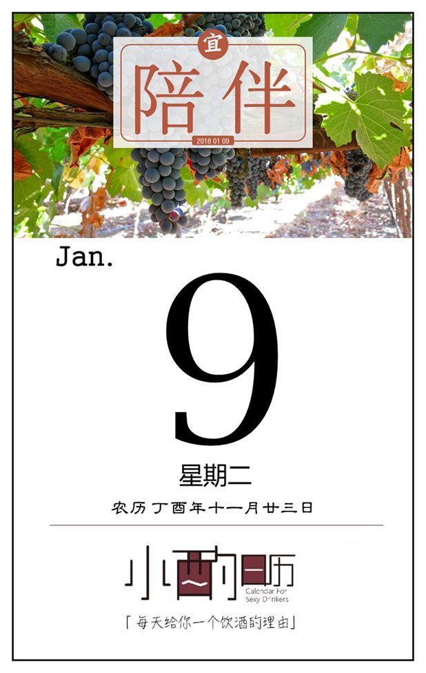 葡萄酿酒品种大全,什么葡萄品种酿酒好喝