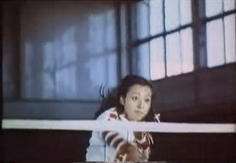 小鹿纯子满满的都是回忆 (小鹿纯子是否还在你的记忆中)