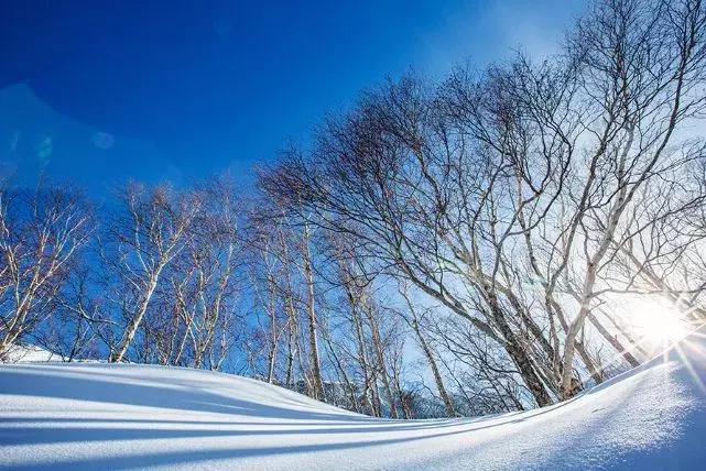 国内必去十二个赏雪圣地,国内超美雪景