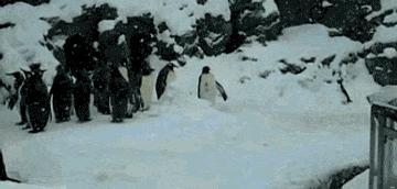 国内必去十二个赏雪圣地,国内超美雪景