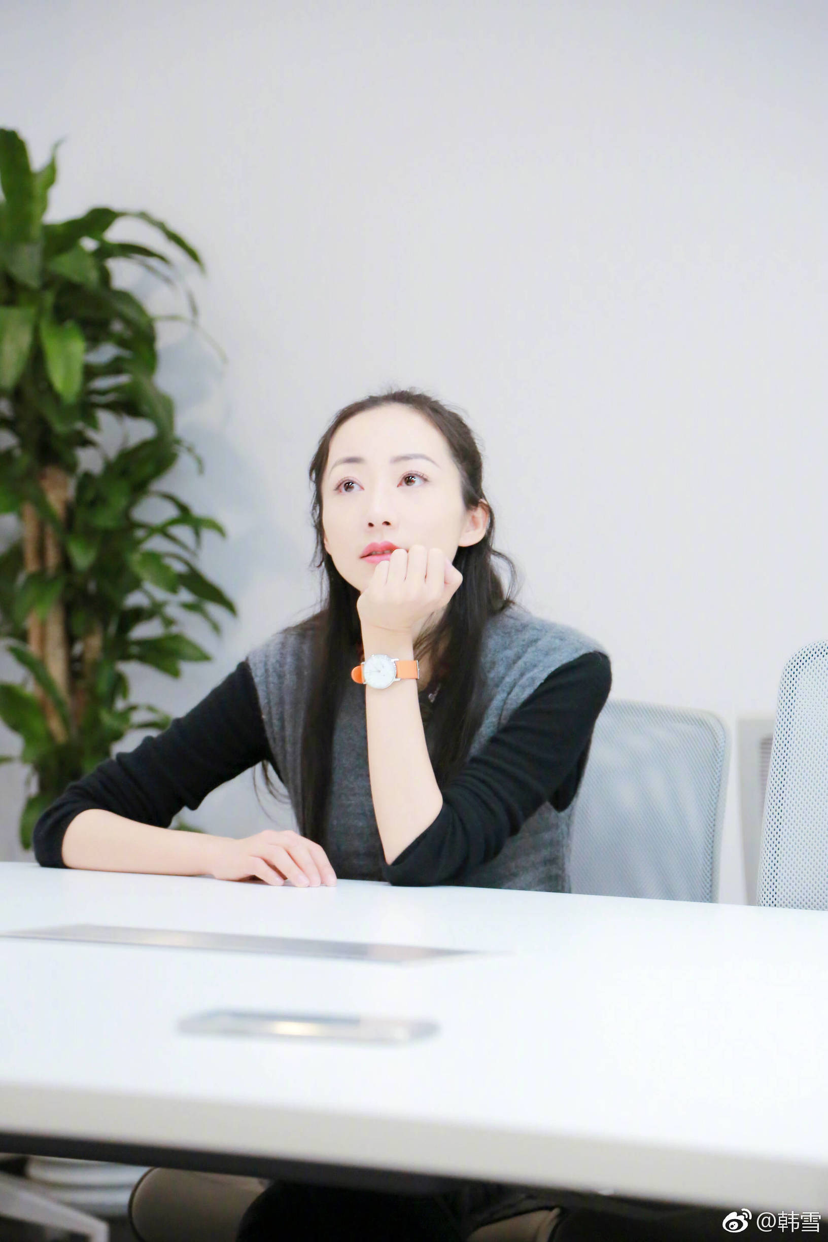 韩雪工作,韩雪新浪科技有限公司