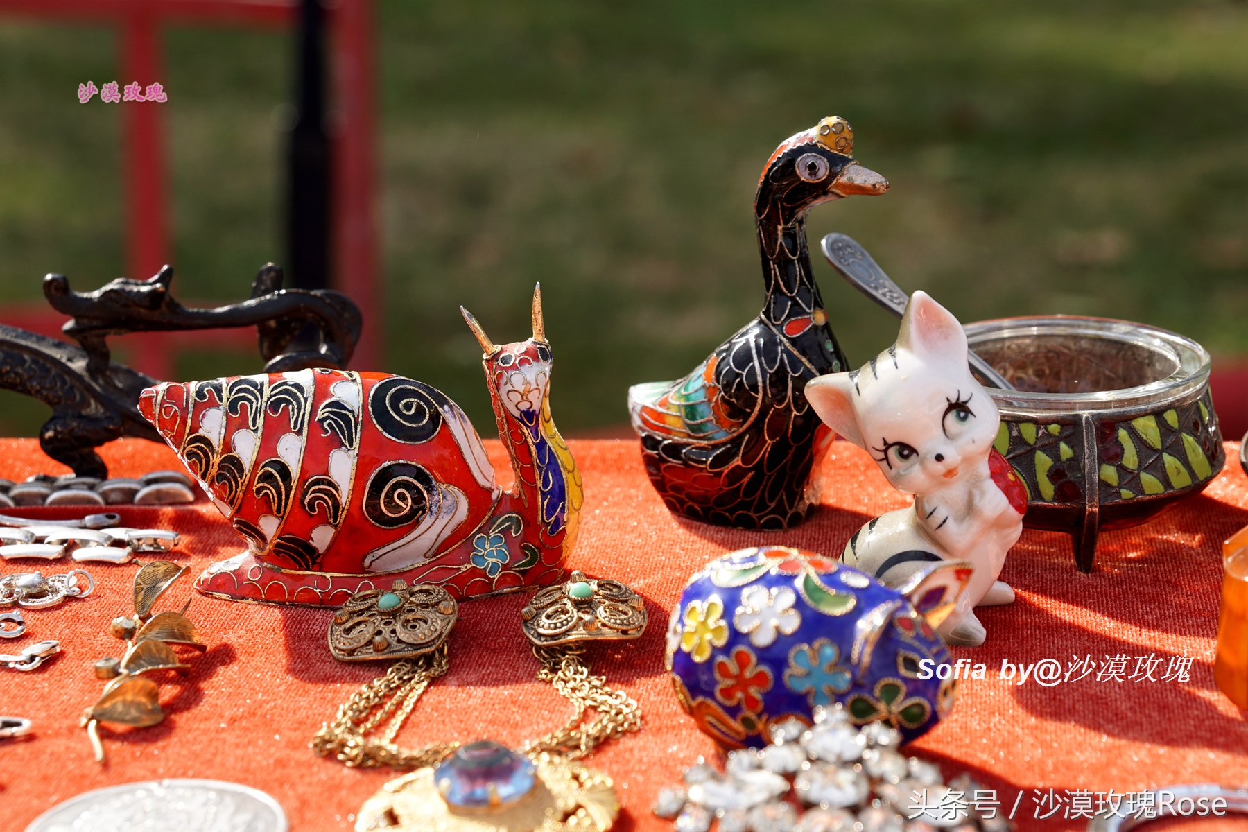 这座花园城市名为“智慧”，你可知它名字的真实来历？