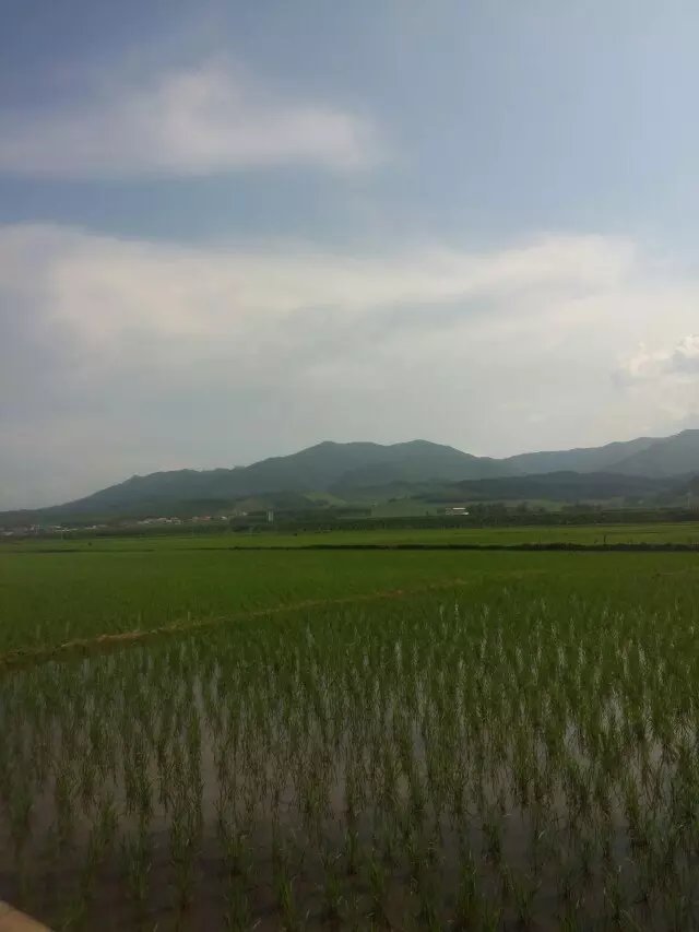 浪漫的集体露营,浪漫的第一次