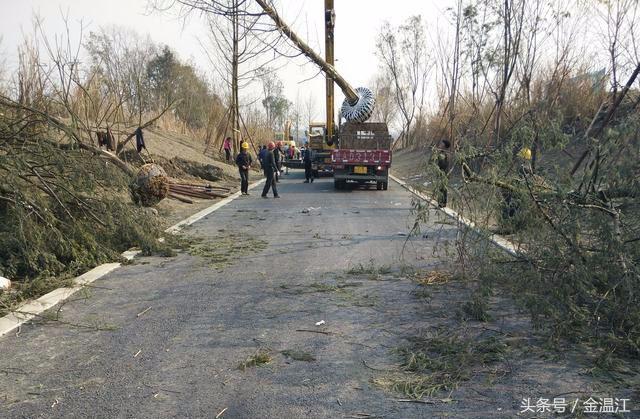 温江四月份免费又好玩的地方,温江老城区值得逛的地方有哪些