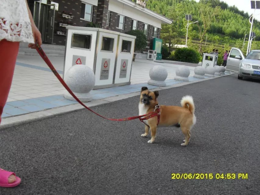 浪漫的集体露营,浪漫的第一次