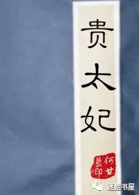 言情新书推荐,2022年完结的优质言情推荐