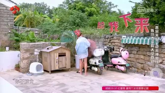 应采儿陈小春七年之痒完整版,陈小春应采儿的婚姻观