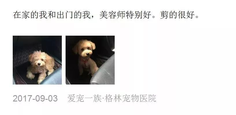 铲屎官宠物诊所,铲屎官宠物医院优惠