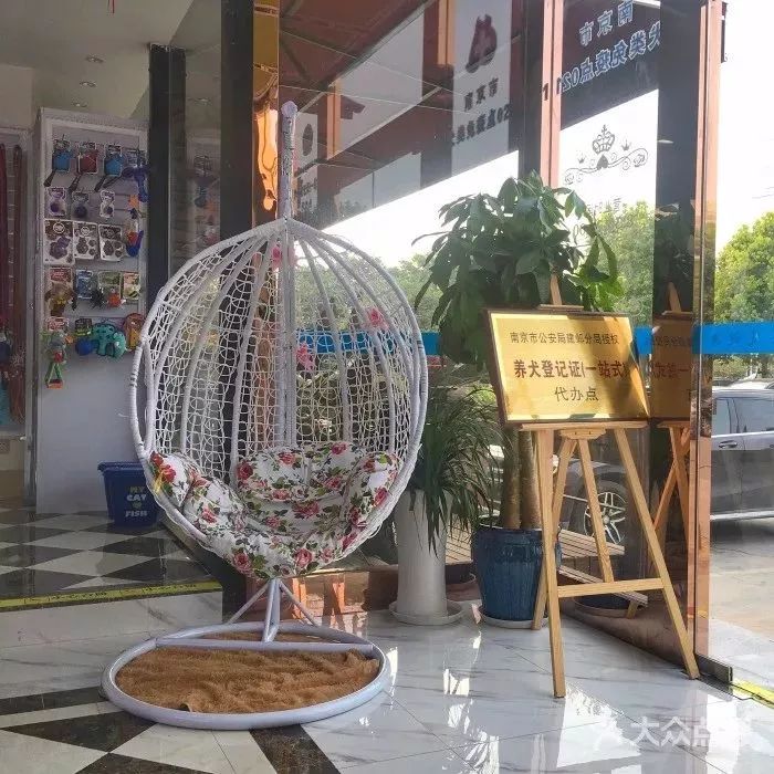 铲屎官宠物诊所,铲屎官宠物医院优惠