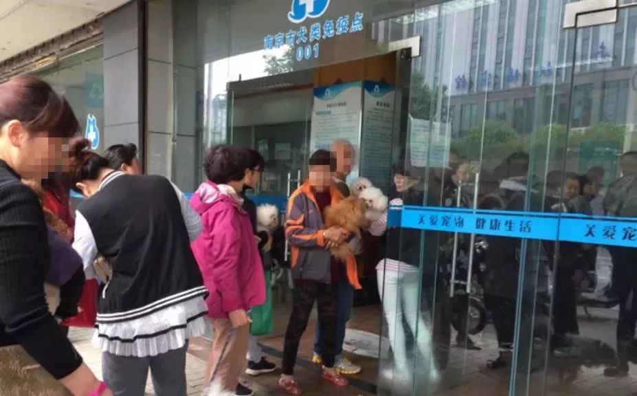 铲屎官宠物诊所,铲屎官宠物医院优惠