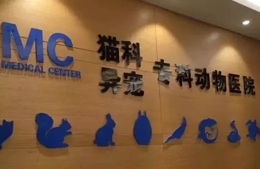 铲屎官宠物诊所,铲屎官宠物医院优惠