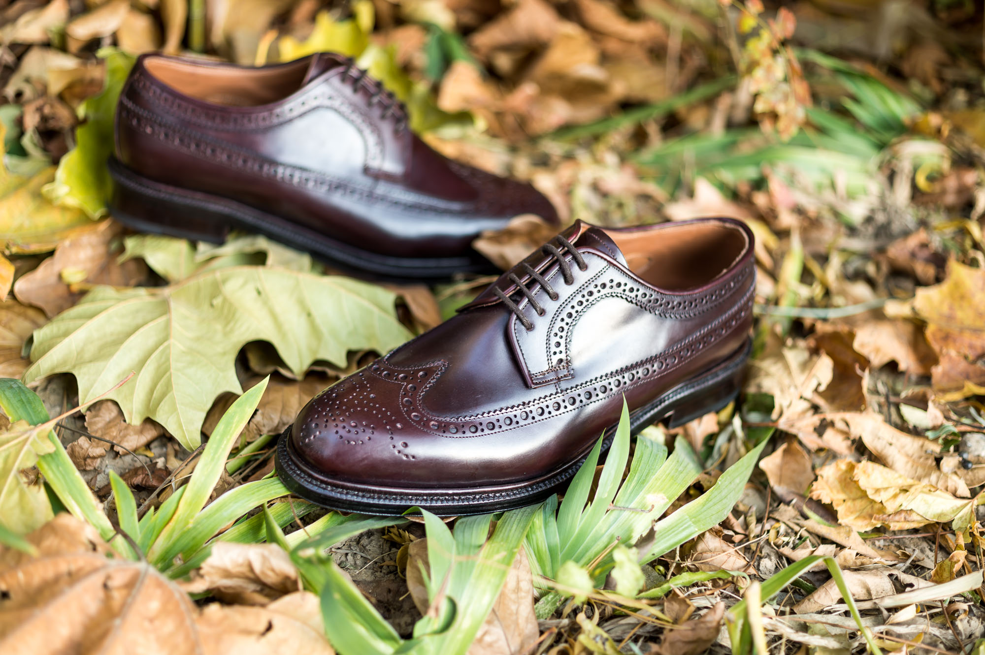 马臀皮鞋也能讲性价比?来自西班牙的它还真不错