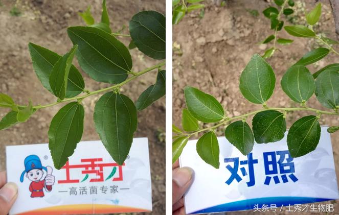 山东品牌故事,品牌故事完整版视频