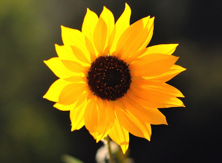 职场被排挤应该怎么办,职场被排挤如何自救