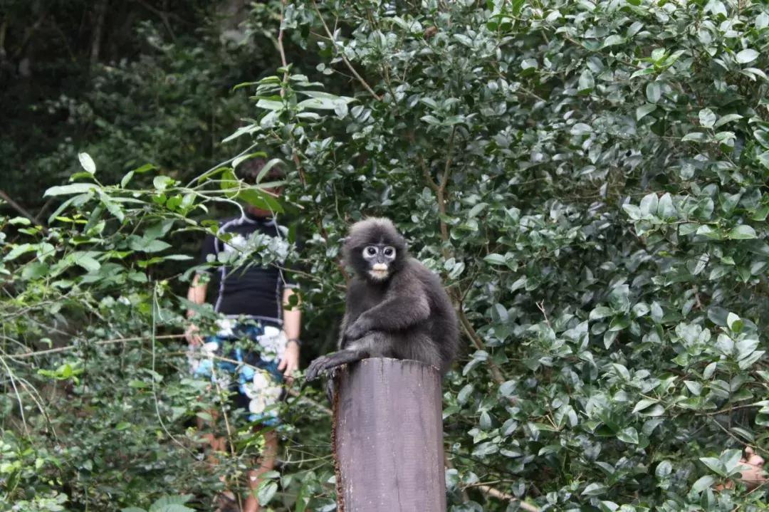 2018如何逐浪苏梅岛？给你最全指南