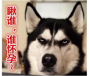 港真,从备孕到怀孕,你花了多长时间?