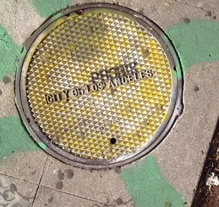 井盖虽然天天见，但不是所有人都能发现它的美