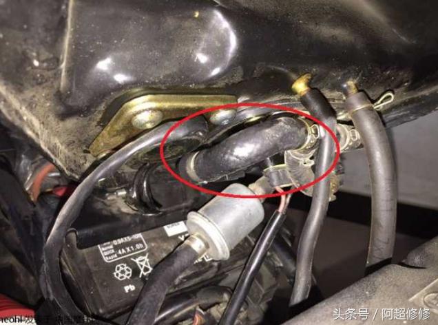 国产大排摩托车哪个质量好,摩托125发动机国产哪家好