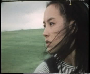 小鹿纯子满满的都是回忆 (小鹿纯子是否还在你的记忆中)