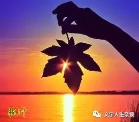 那年的花儿飘零何方——「棉花糖的田」（单身哥的传说原创）