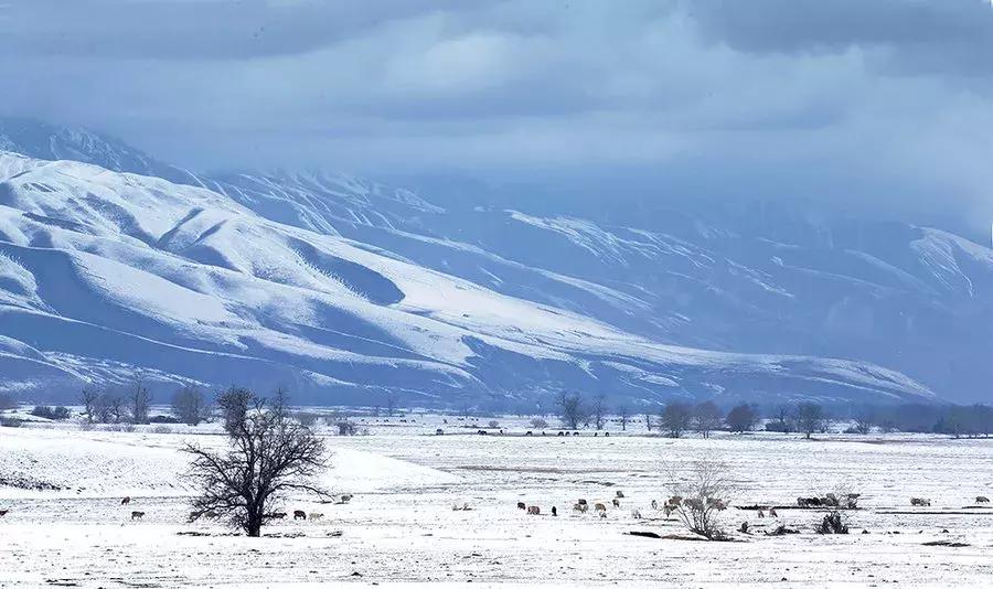 国内必去十二个赏雪圣地,国内超美雪景