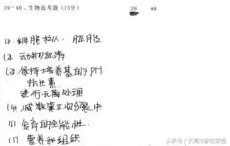 网上阅卷考生应注意答题技巧,电子阅卷答题用什么笔最好