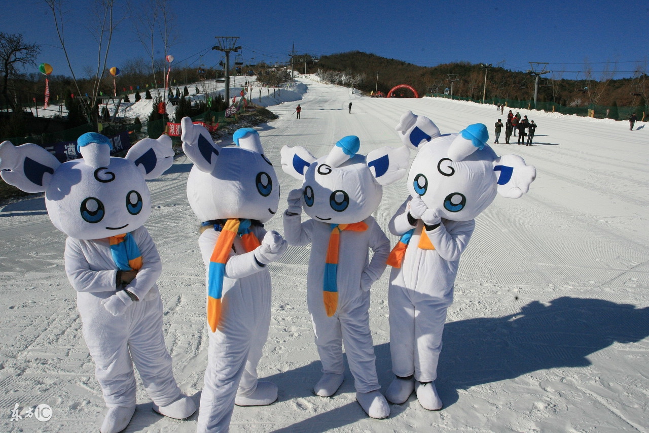 大连亲子活动平台,大连圣诞节哪里有亲子活动