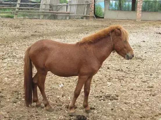 广东草原风景,广东绝美草原