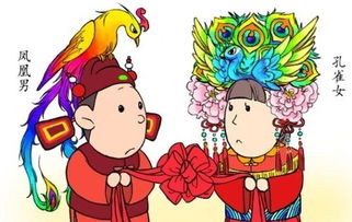 孔雀女嫁凤凰男婚姻,孔雀男和凤凰女的婚姻为什么不幸
