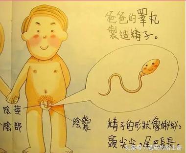 怎么给孩子做“性教育”，保护孩子从教育开始！