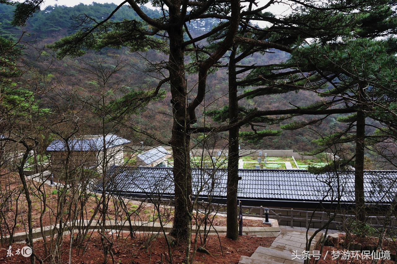 环保界的九阴真经：污水处理站管理手册