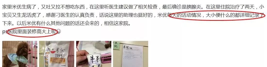 铲屎官宠物诊所,铲屎官宠物医院优惠